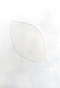 An image with almost no color. A leaf shape appears lightly outlined at the center.