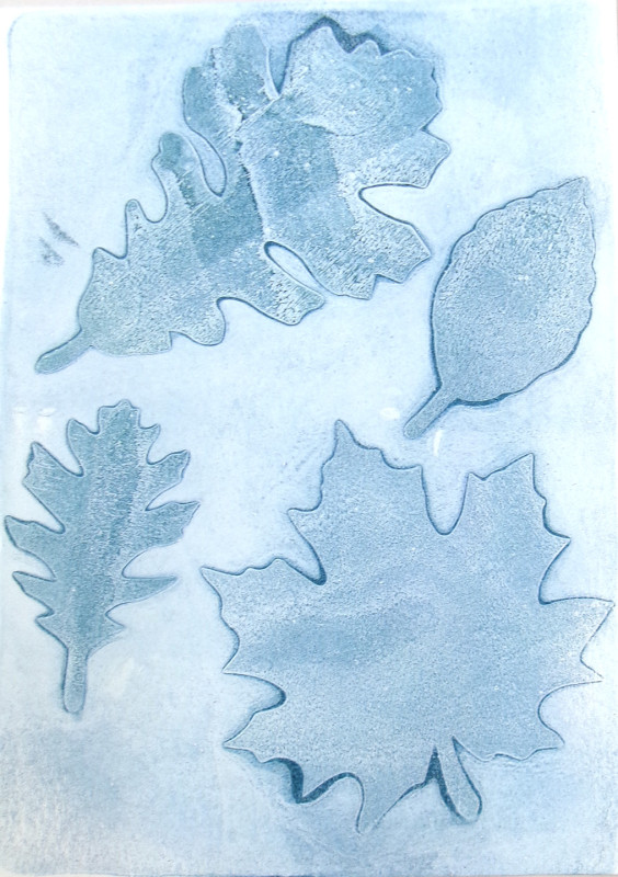 A print that appears to be made from inking leaves, in light blue tones. An oak leaf is horizontally across the top of the sheet, and a maple leaf is in the lower right. A smaller oak leaf is in the center to the left, and a birch leaf is in the center to the right. The leaves are outlined in darker blue, and there is a background of blue that is even lighter than the leaves.