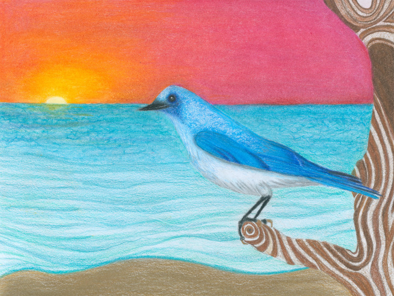 A fantastical colored pencil drawing, depicting a beach at sunset. There is a tree on the foreground on the right whose bark contains white swirls. Only some of the tree trunk is visible, and one broken branch at middle height. A blue songbird, drawn with a high degree of verisimilitude, is perched on the broken branch.