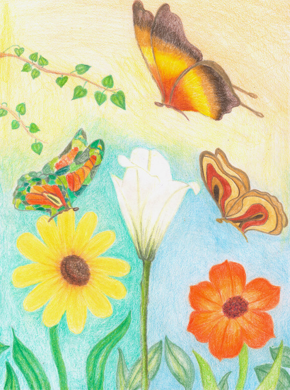 A colored pencil drawing in realistic style, depicting butterflies and flowers that do not actually exist. The perspective is from the ground, the subjects are large on the page. One butterfly has mottled wings like stained glass, one has wings with a gradient of brown to yellow to orange replacing its pattern, one has a pattern of tan, maroon, and black. The flowers evoke a tulip, a daisy, and a nondescript red flower, but the petals and foliage are all slightly wrong. There is some ivy in the top left.